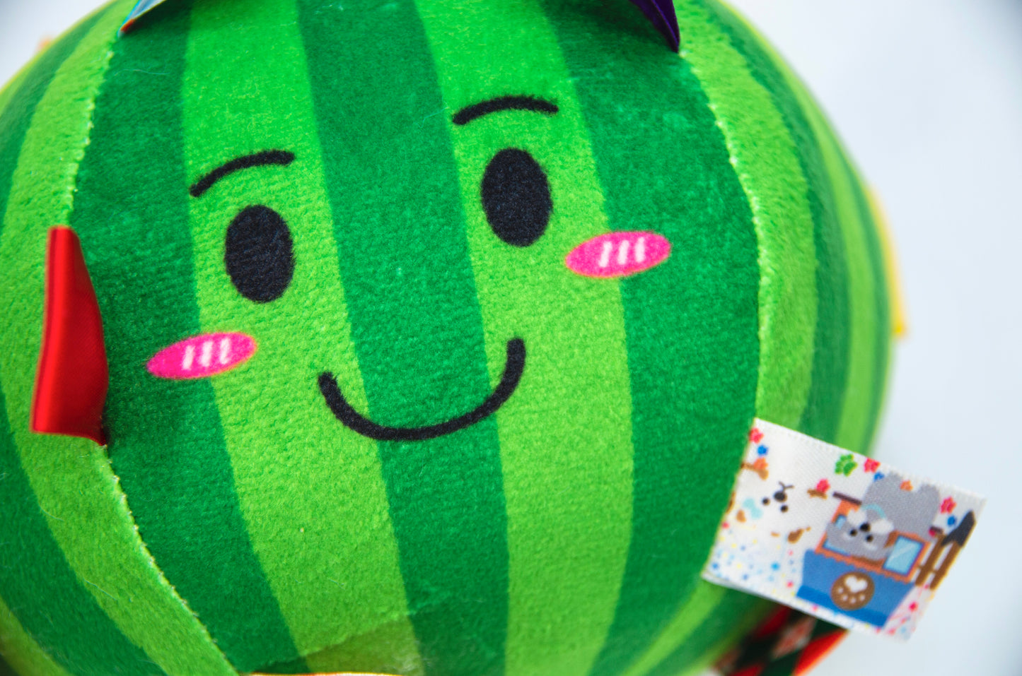 Watermelon Grab Tabs Ball Toy for Dogs