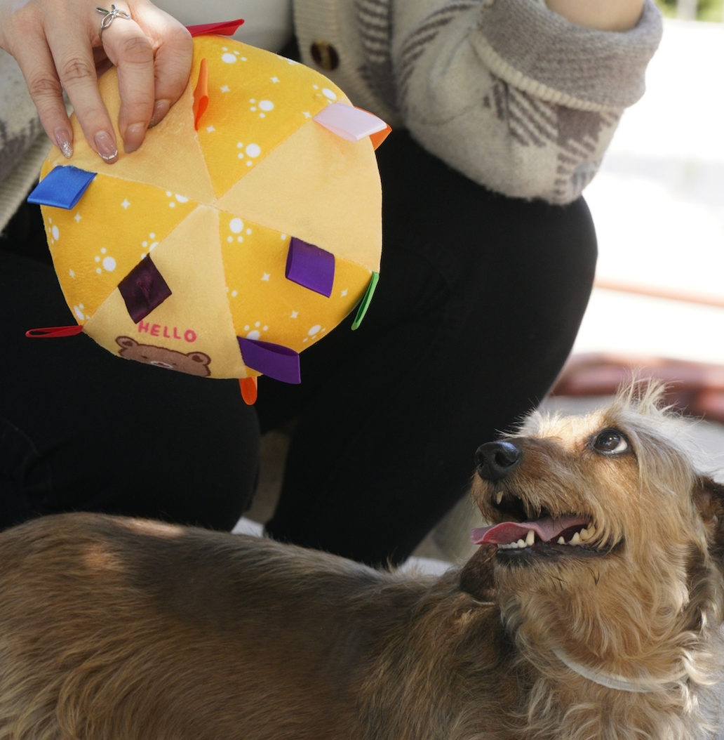 Hello Bear Grab Tabs Ball Toy for Dogs