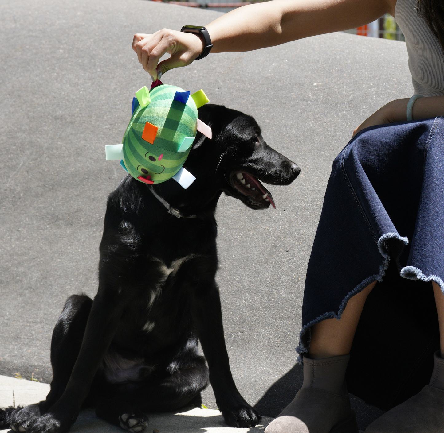 Watermelon Grab Tabs Ball Toy for Dogs