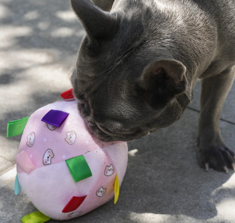 Berry Sweetie Grab Tabs Ball Toy for Dogs
