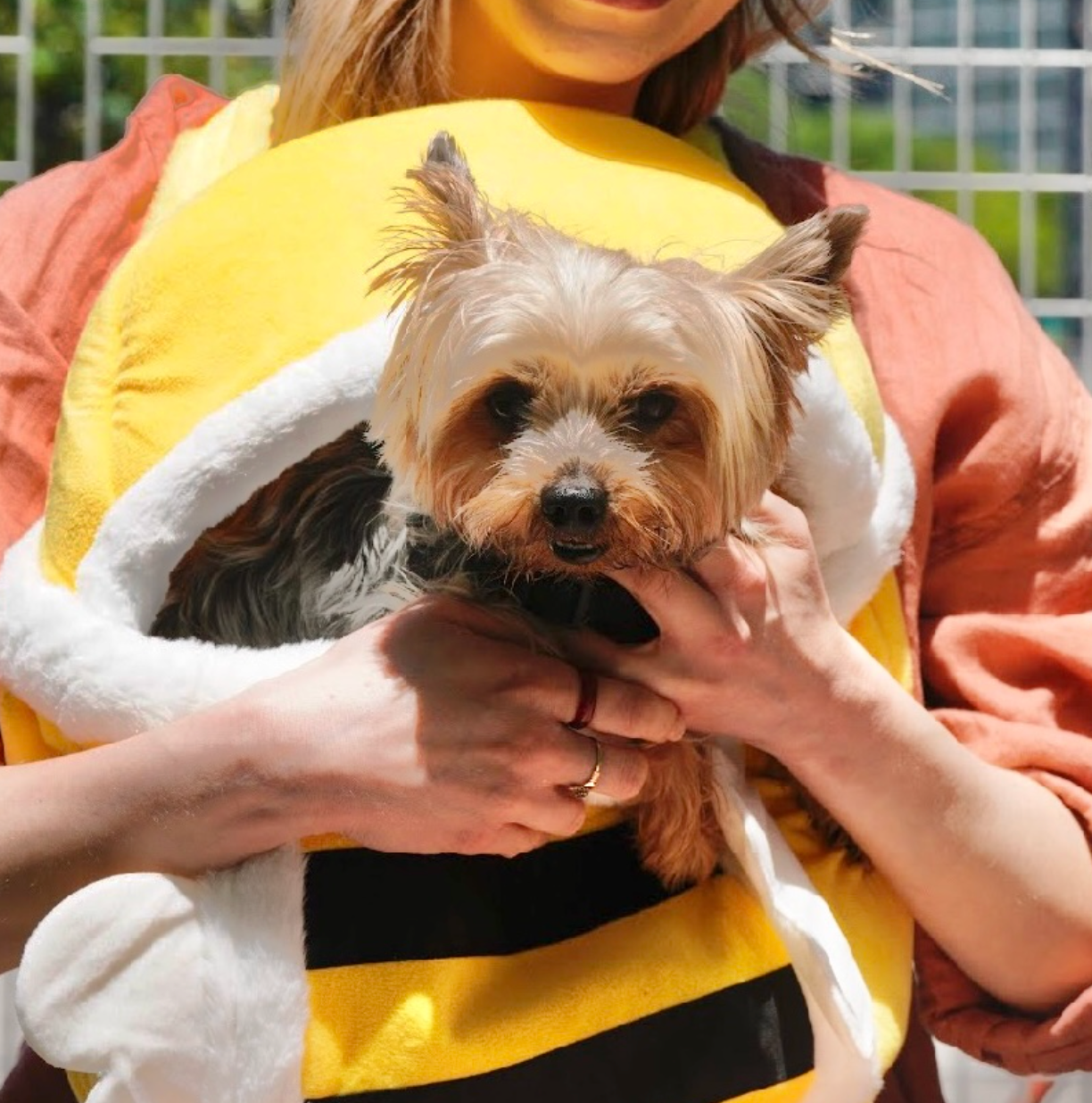 Travel Pet Carrier Bag; Breathable sling for small dogs and cats (5-10lbs)(Buzz Buddy Yellow Bee)
