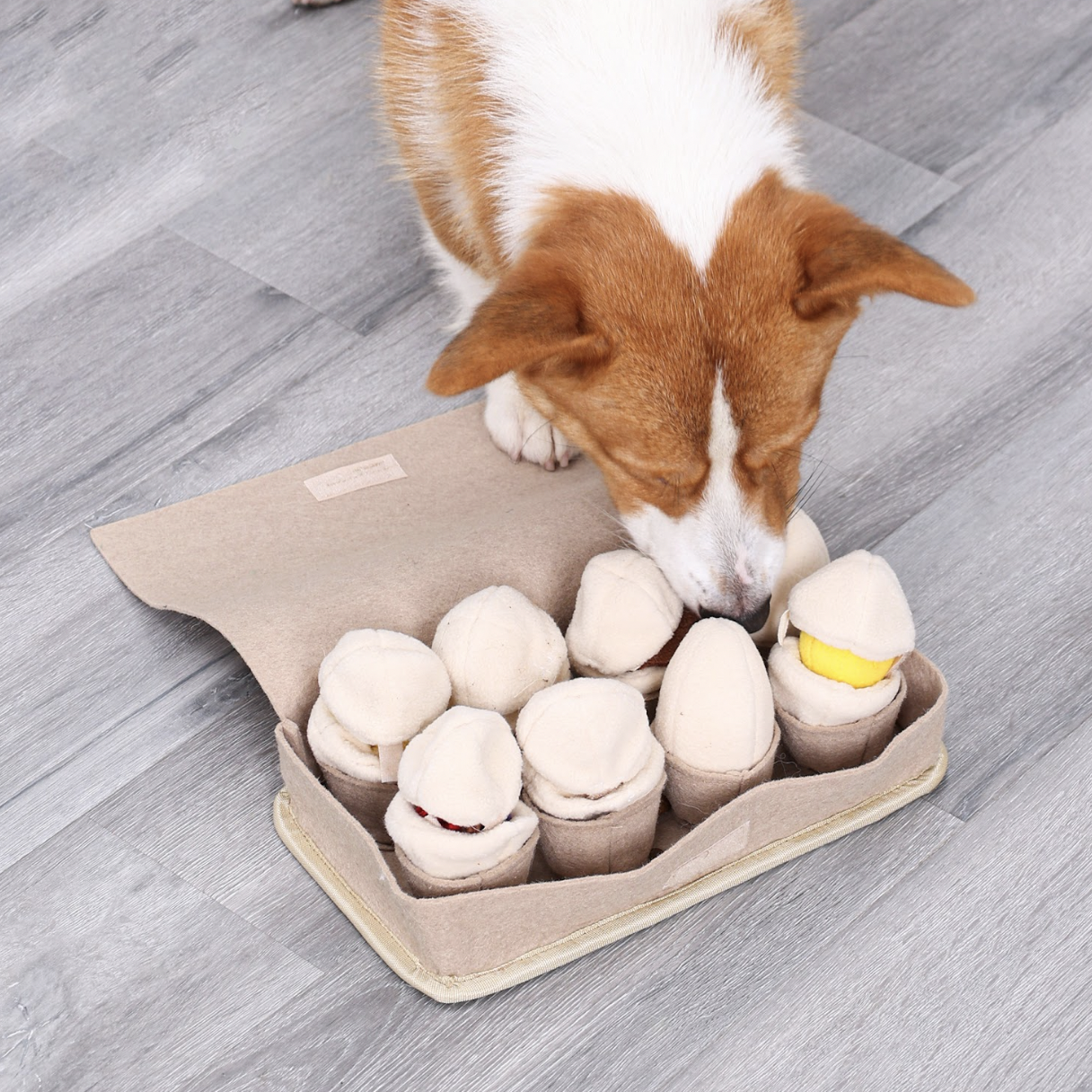 Egg Box Snuffle Dogs Interactive Toy