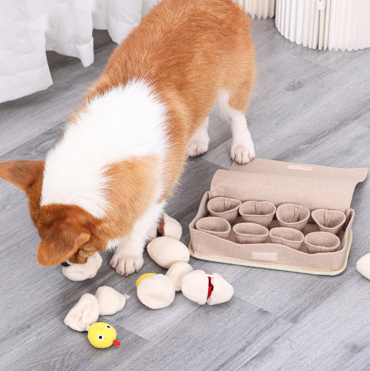 Egg Box Snuffle Dogs Interactive Toy