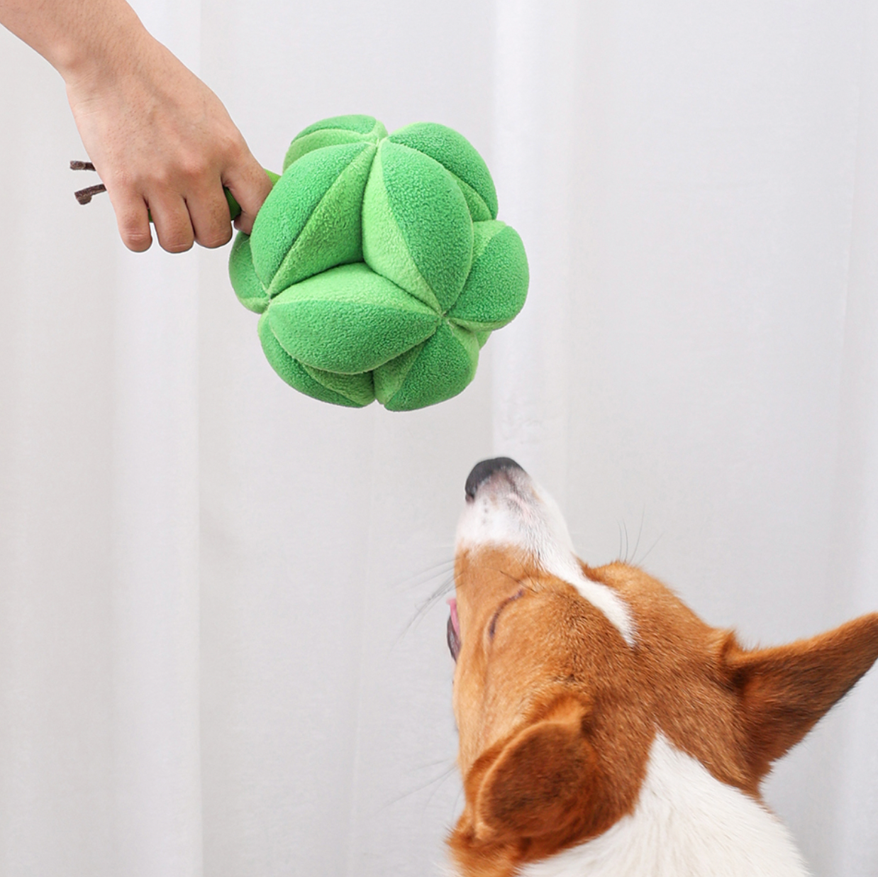 Broccoli Snuffle Ball Dog Toy