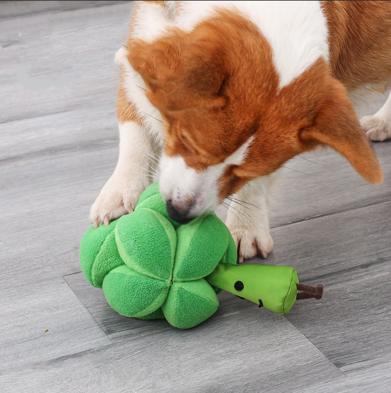Broccoli Snuffle Ball Dog Toy