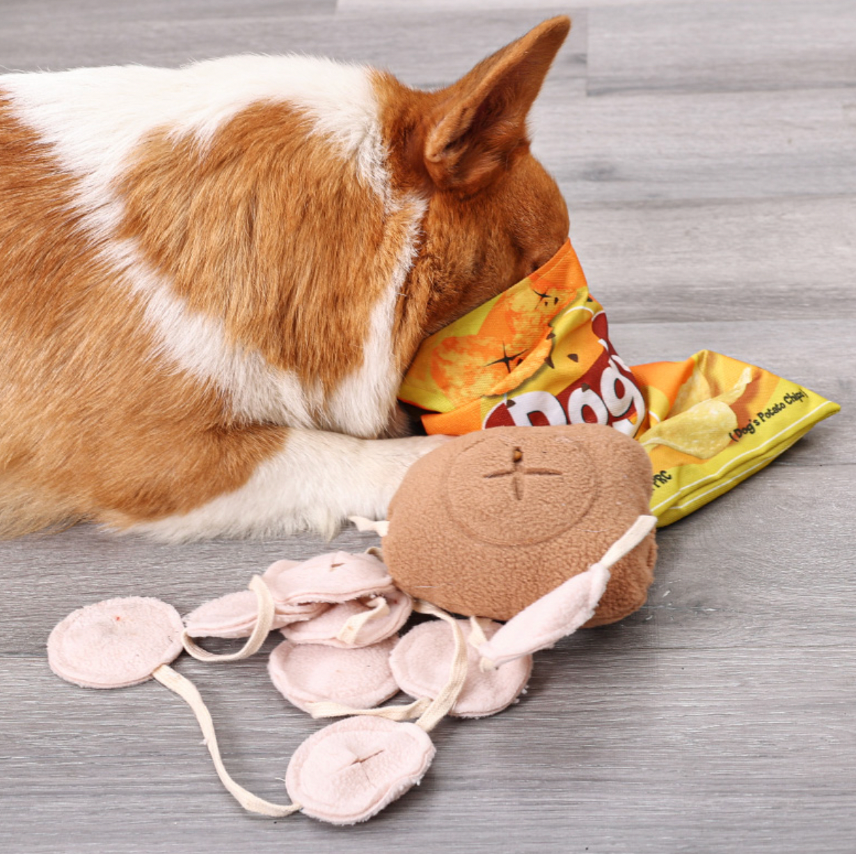 Chip Bag Snuffle Dogs Interactive Toy