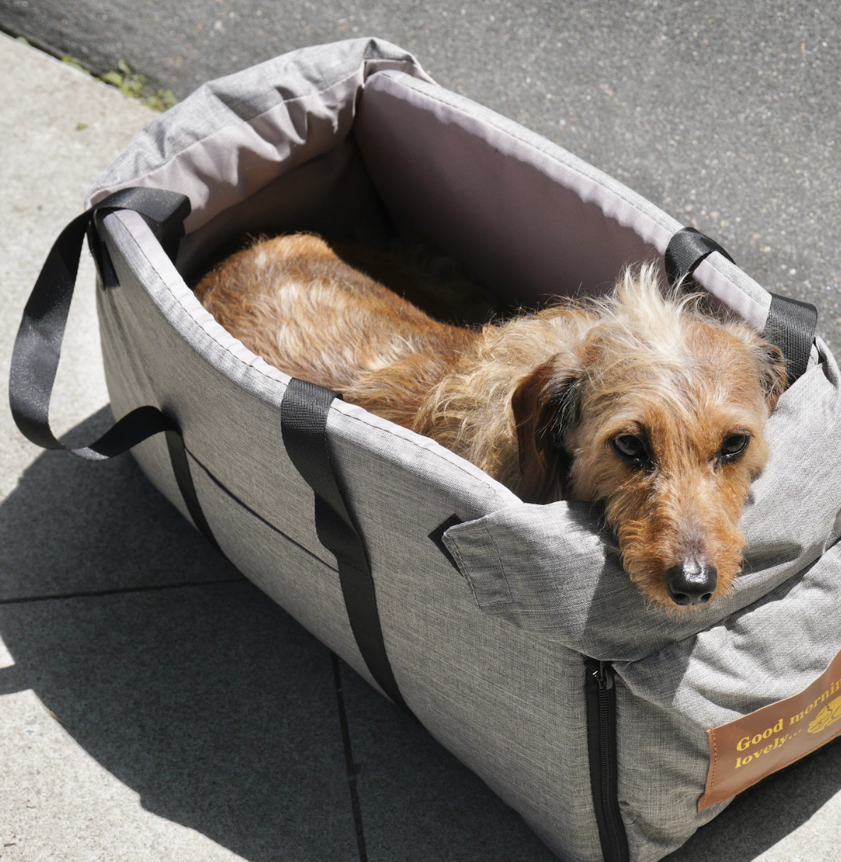 Small Dog Car Booster Seat with Thick Cushion(Gray)