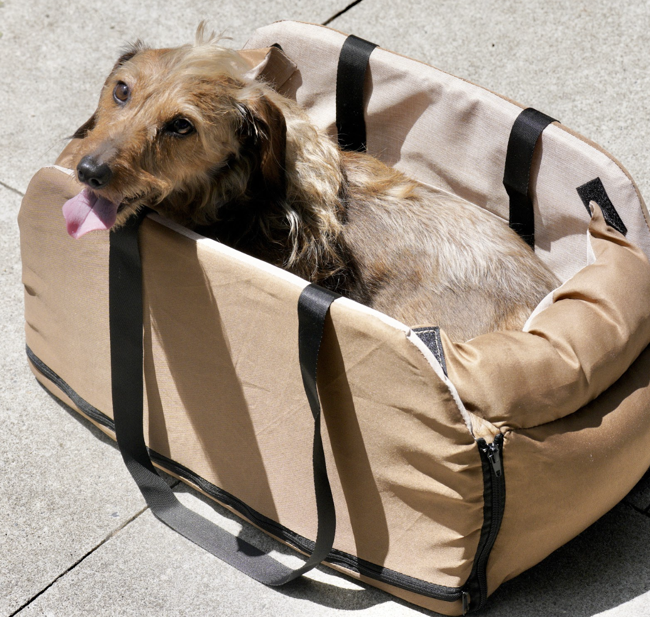 Small Dog Car Booster Seat with Thick Cushion(Khaki)