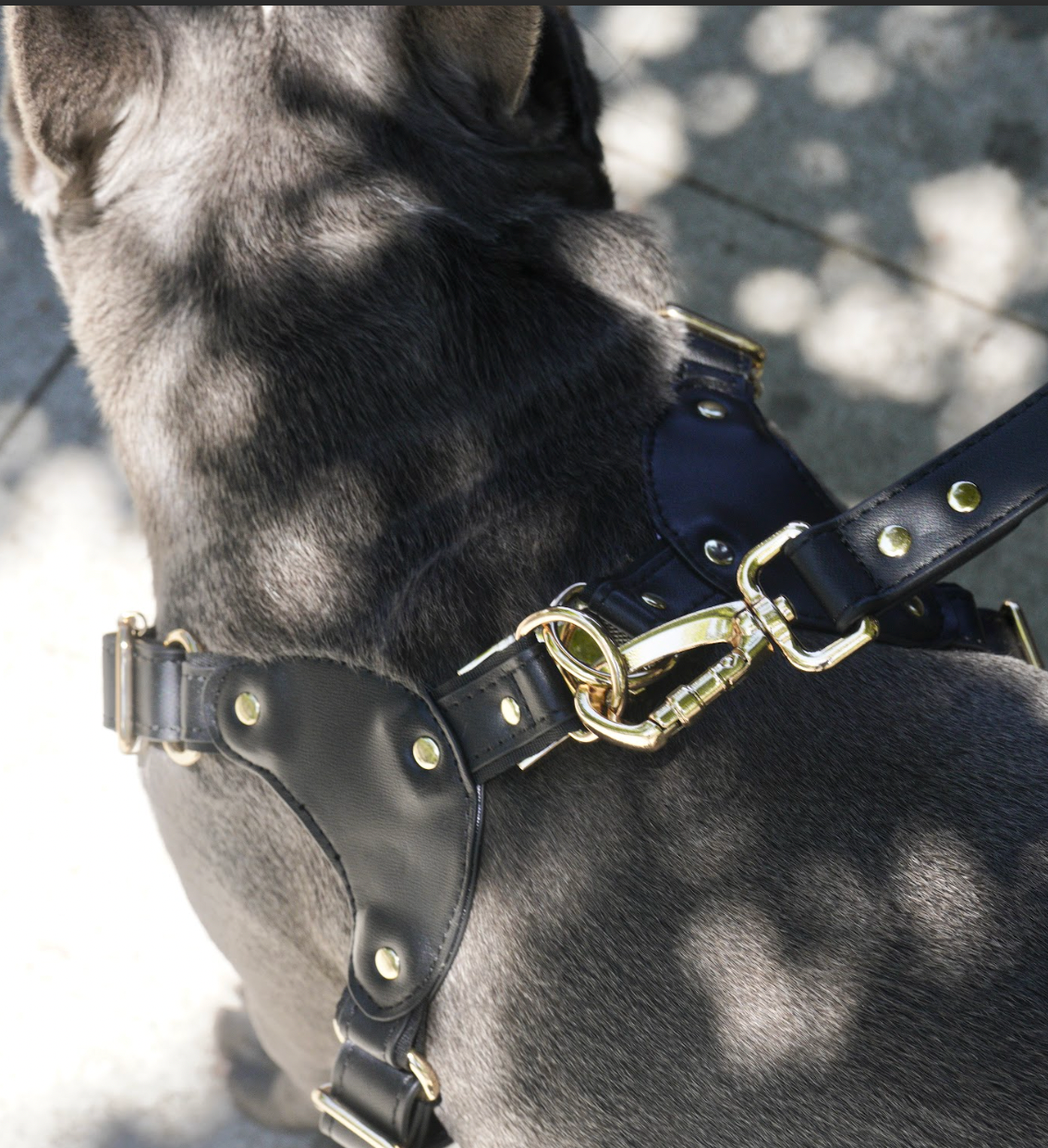Medium Dog PU Leather Harness & Leash Set (Fits Chest 37-62cm)(Twinkle Black)