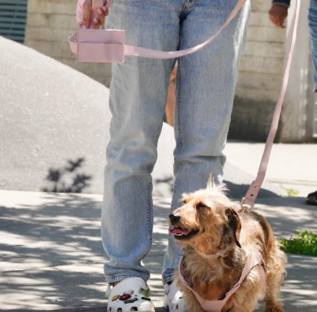 Small Dog PU Leather Harness & Leash Set (Fits Chest 26-50cm)(Strawberry Milk Pink)