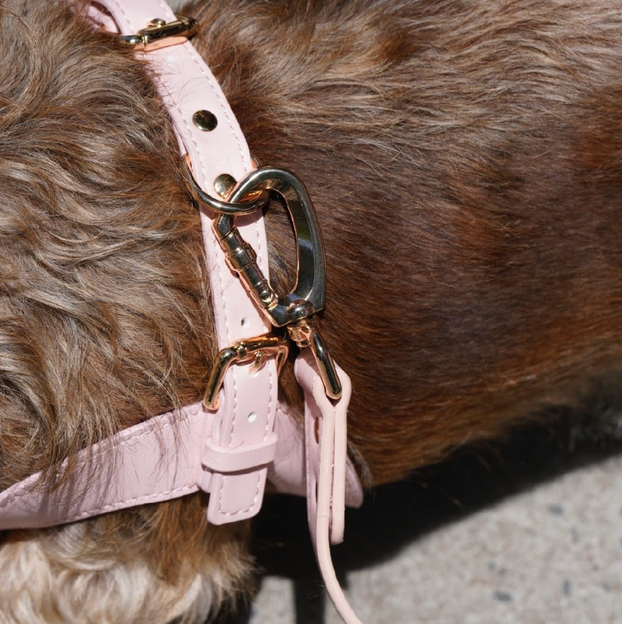 Small Dog PU Leather Harness & Leash Set (Fits Chest 26-50cm)(Strawberry Milk Pink)