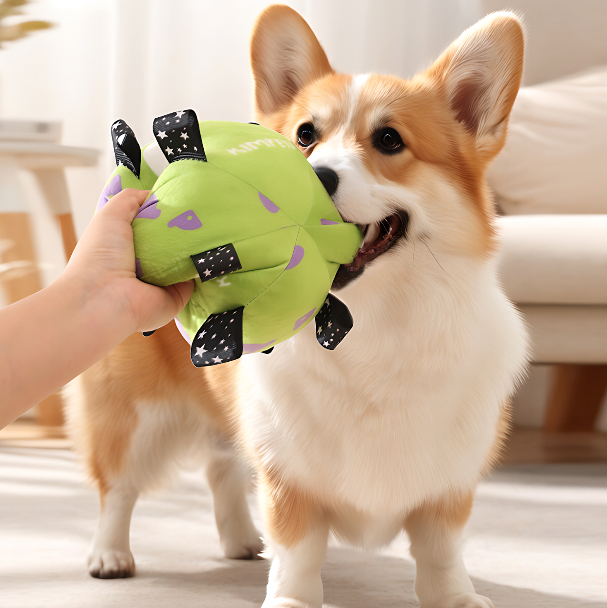 Big Eyed Grab Tabs Pup Ball Toy (Zesty Lime)