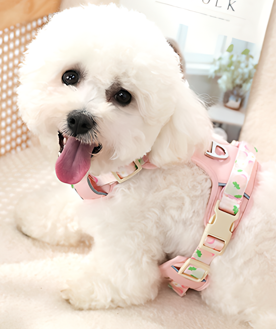 Dog Summer Fruit Breathable Harness & Leash Set(Peach Pink)