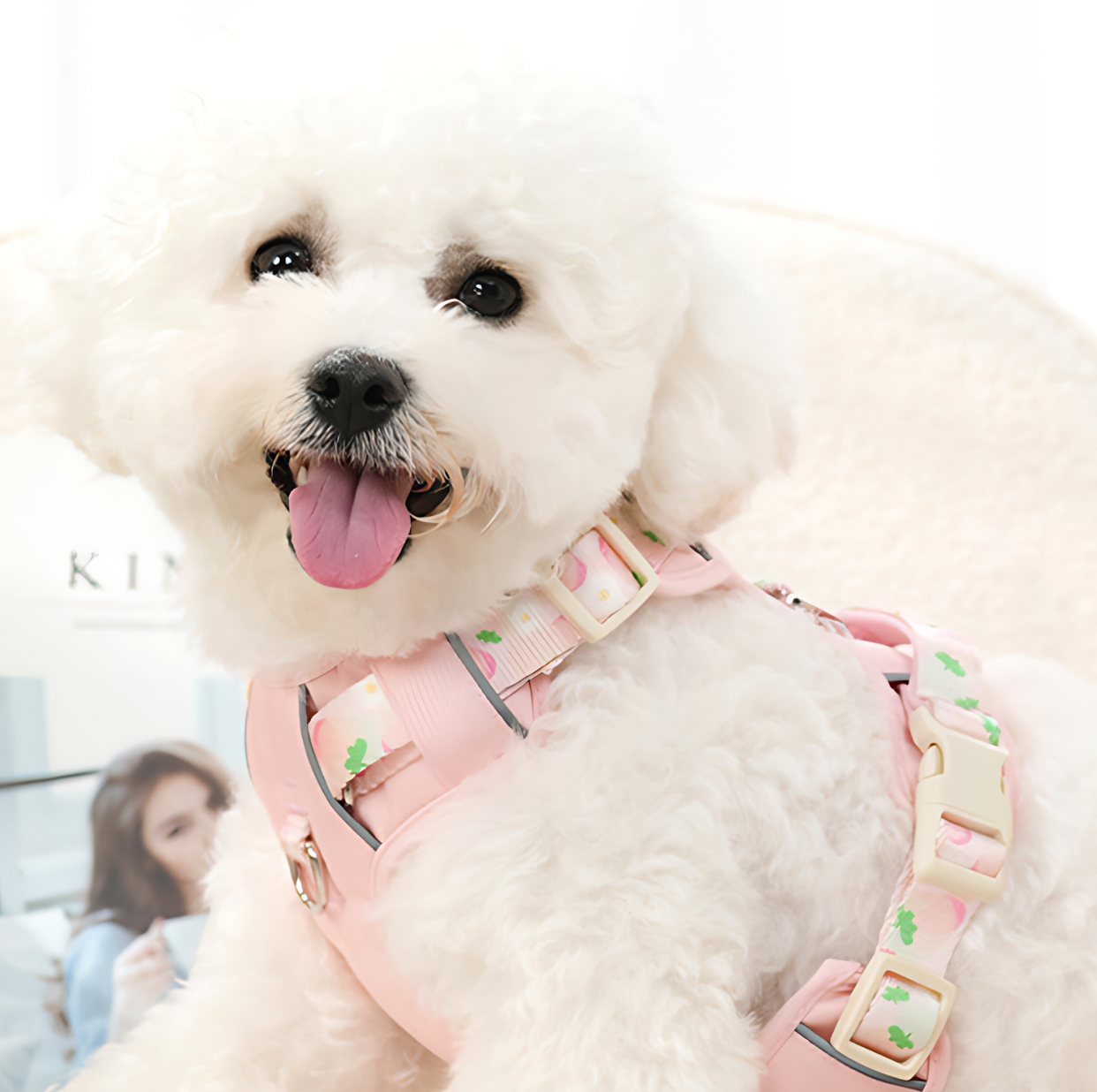 Dog Summer Fruit Breathable Harness & Leash Set(Peach Pink)