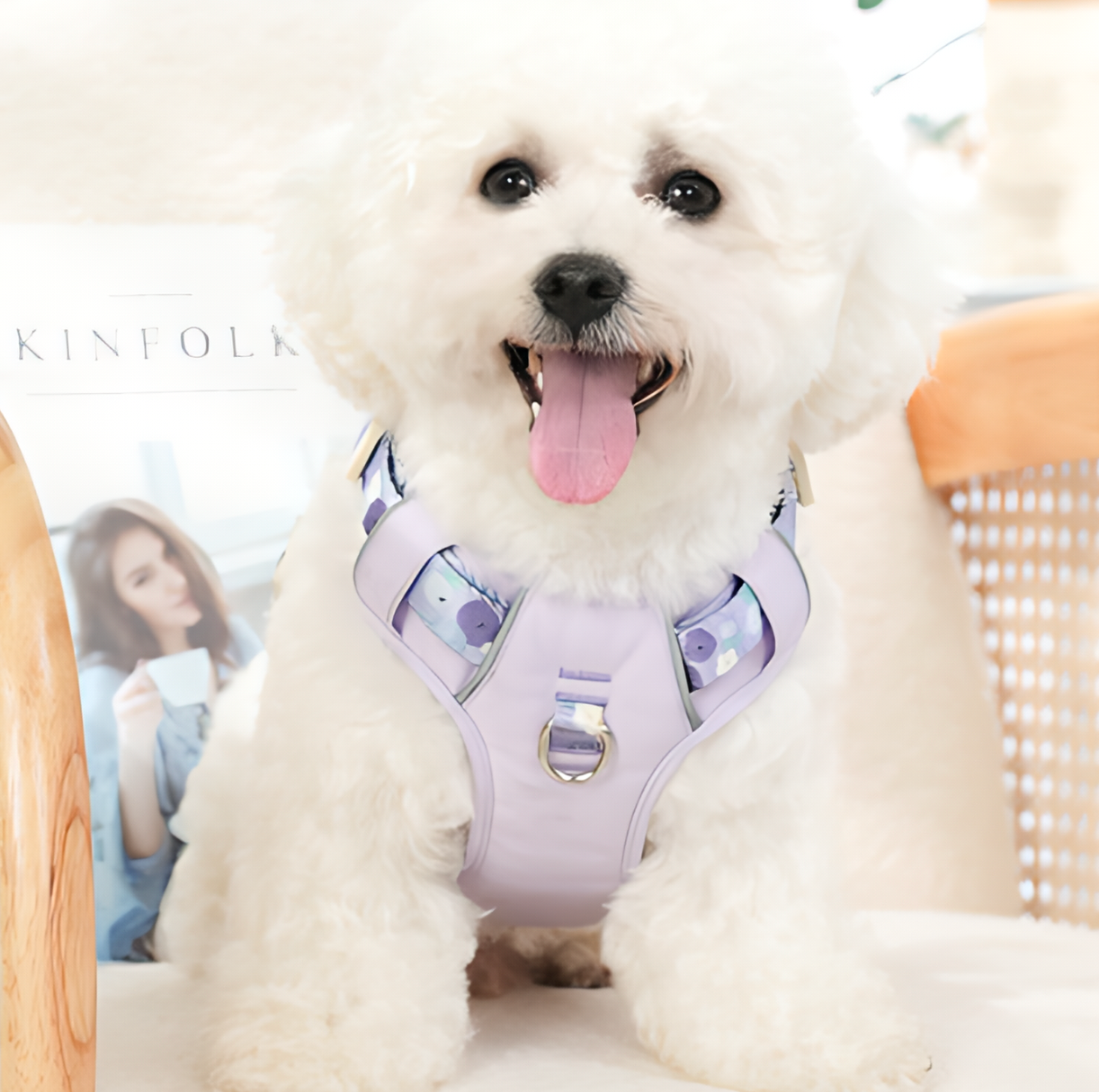 Dog Summer Fruit Breathable Harness & Leash Set(BlueBerry Purple)
