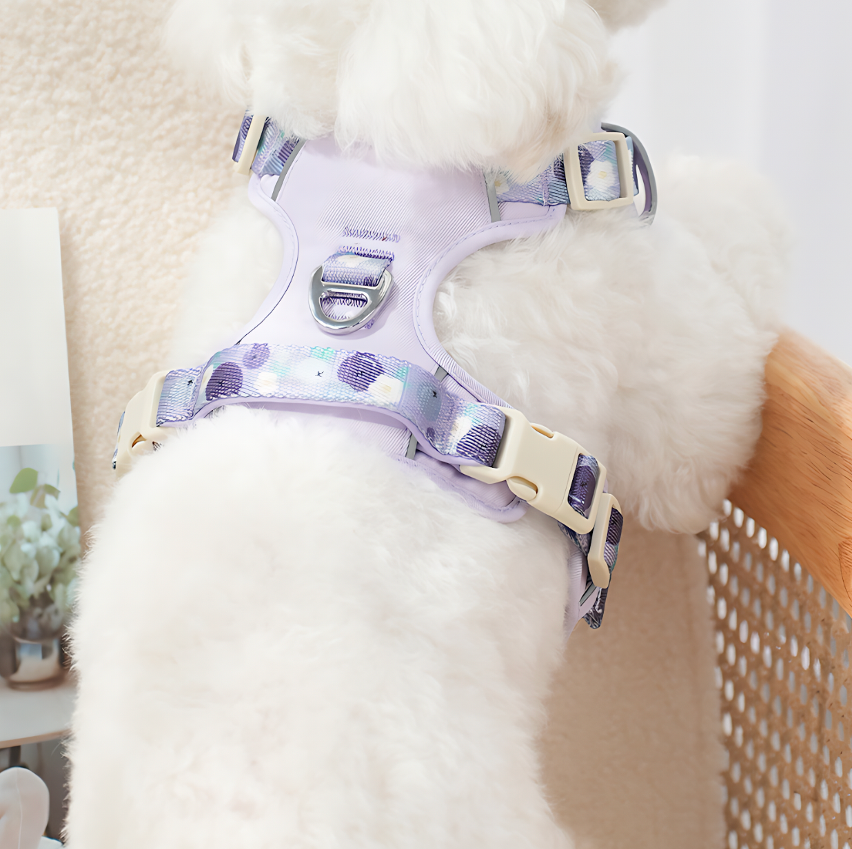 Dog Summer Fruit Breathable Harness & Leash Set(BlueBerry Purple)