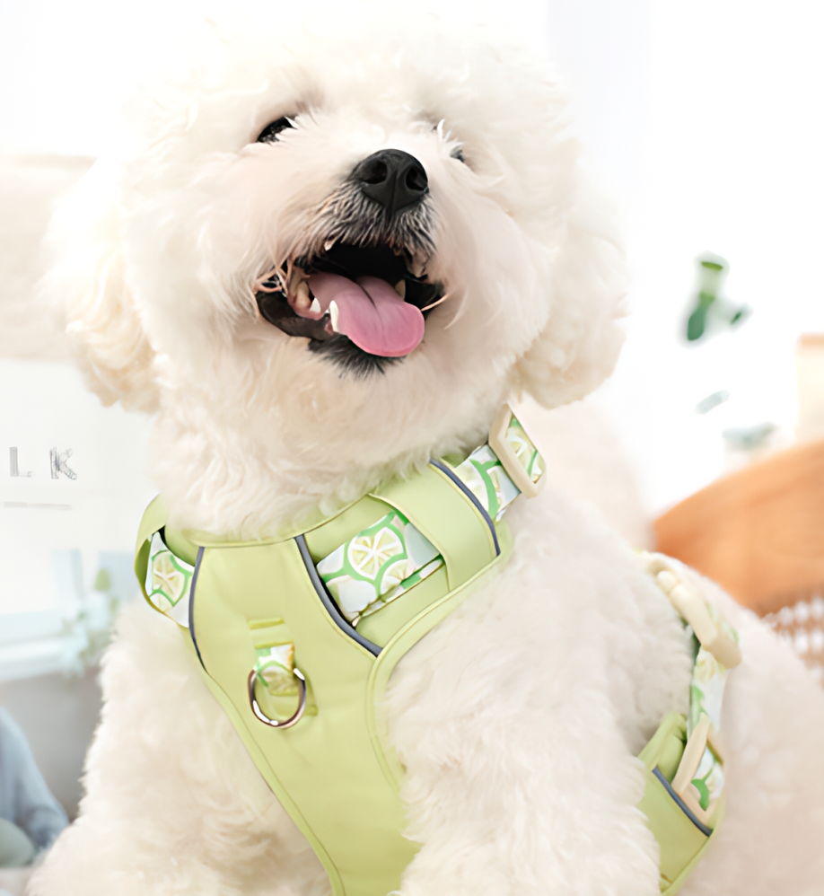 Dog Summer Fruit Breathable Harness & Leash Set(Lemon Green)