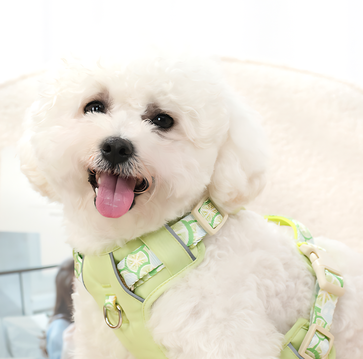 Dog Summer Fruit Breathable Harness & Leash Set(Lemon Green)