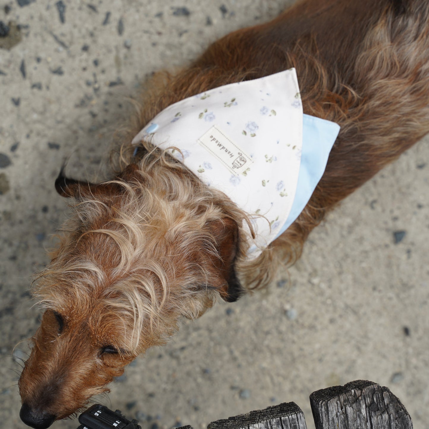 Macaron Dog Bandana(Blue Floral)