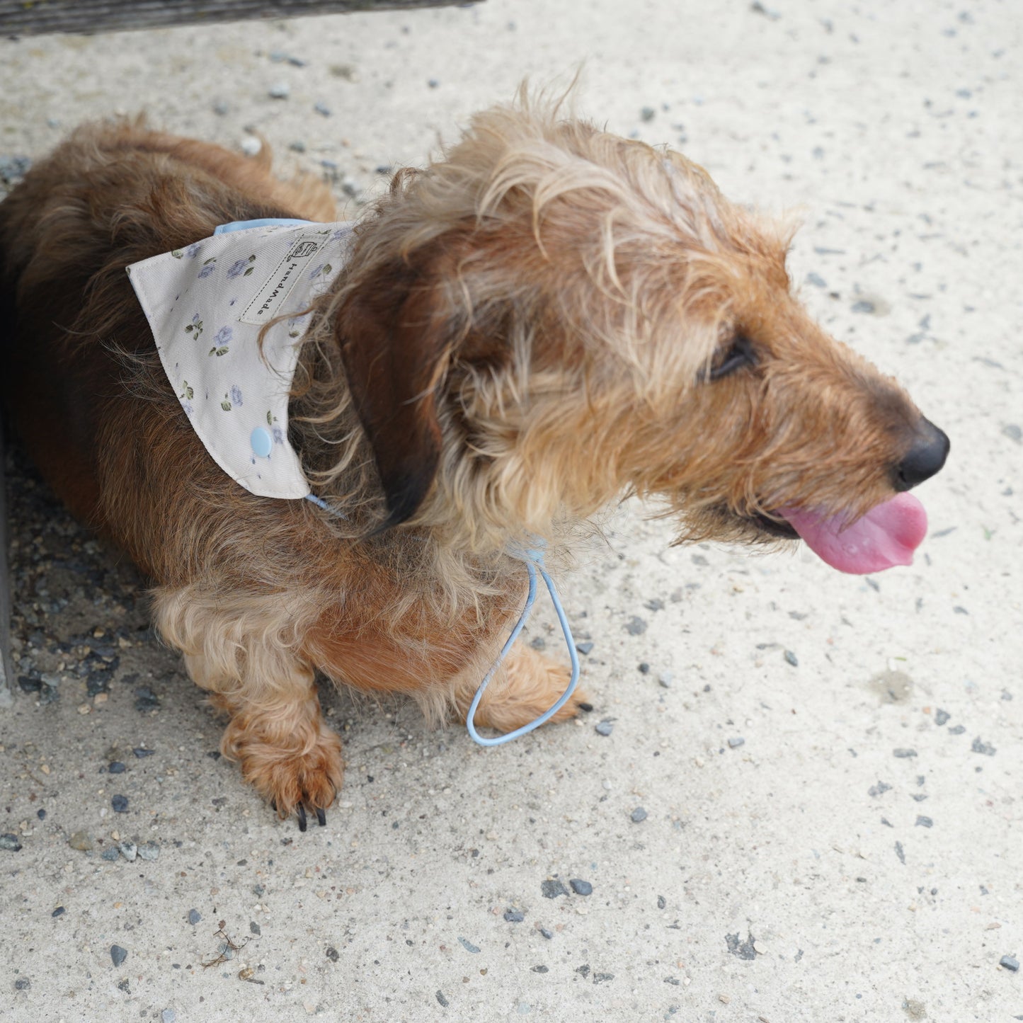 Macaron Dog Bandana(Blue Floral)