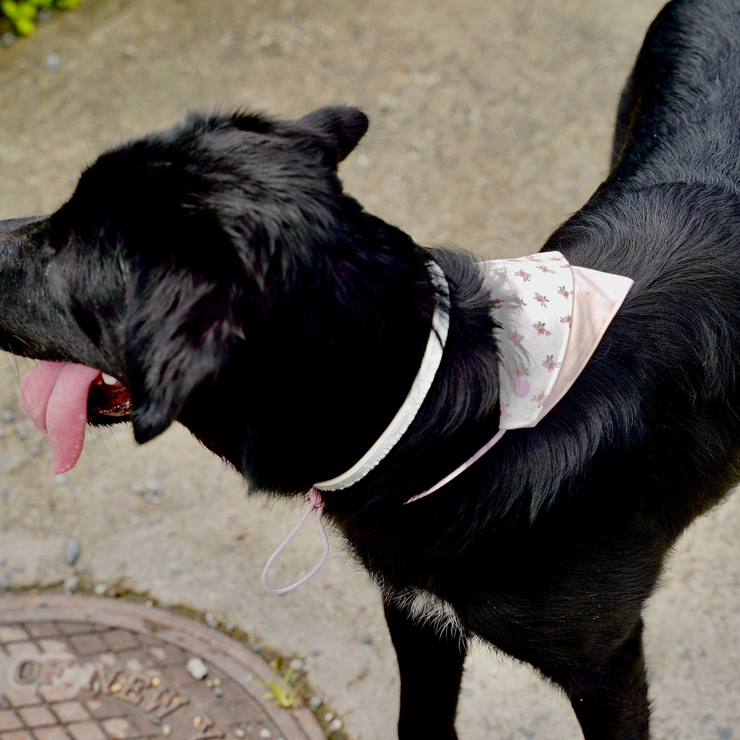 Macaron Dog Bandana(Pink Floral)