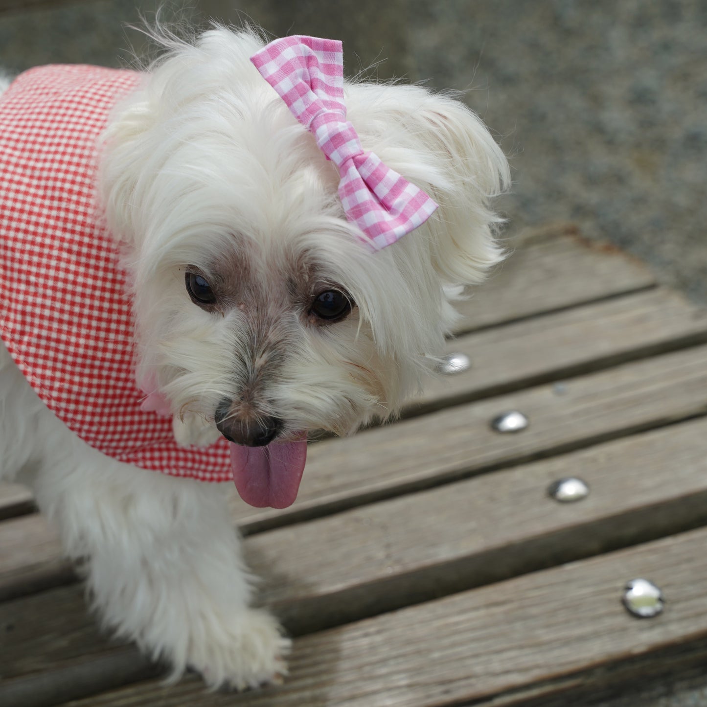 Plaid Dog Bandana(Watermelon Red)