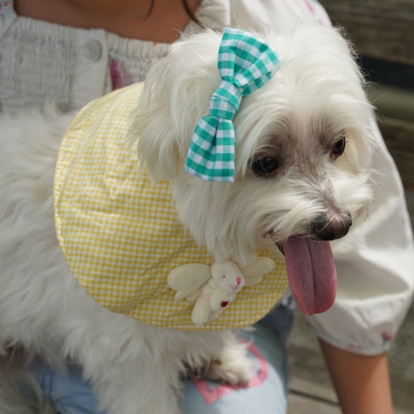 Plaid Dog Bandana(Lemon Yellow)