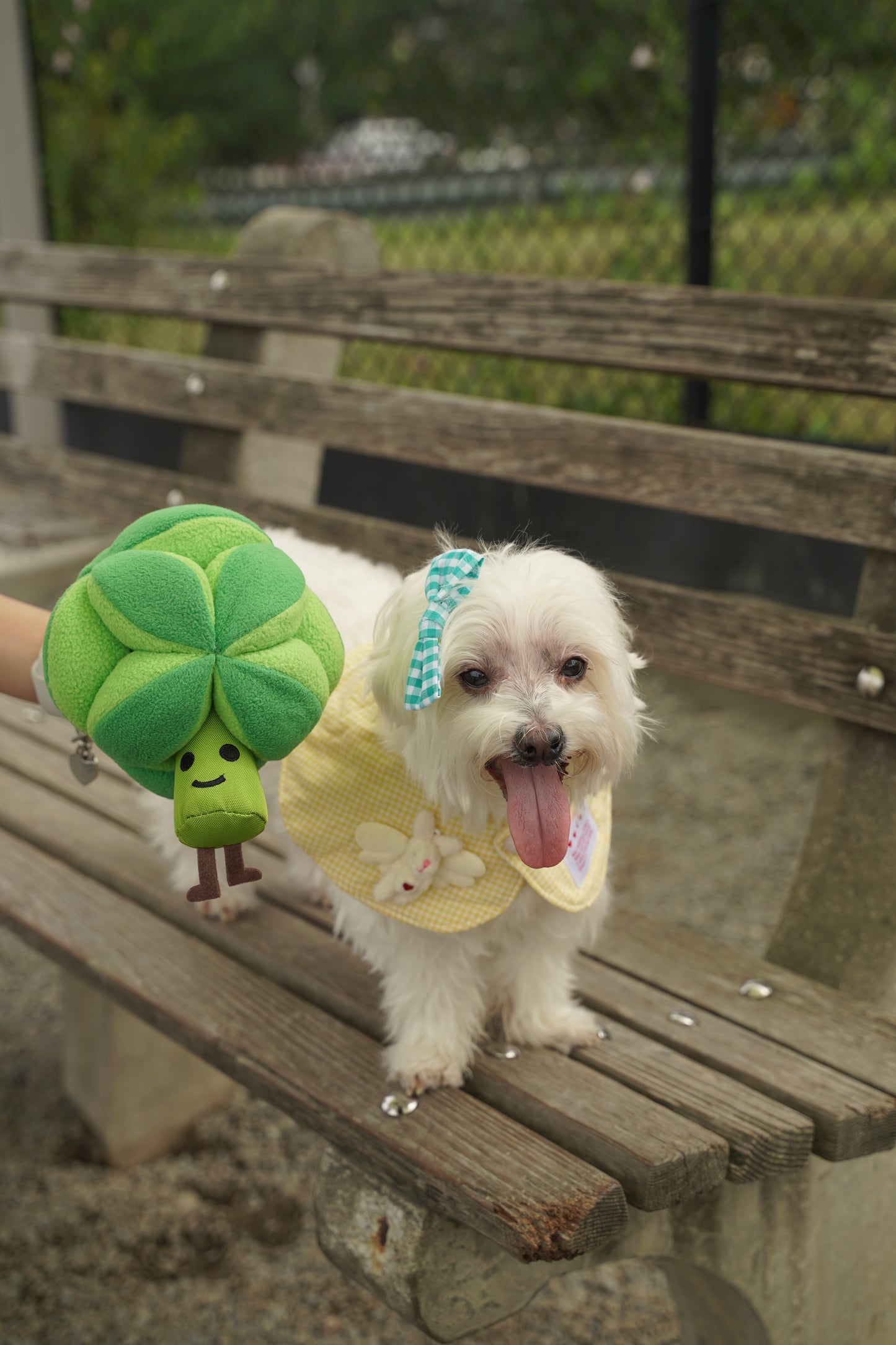 Broccoli Snuffle Ball Dog Toy