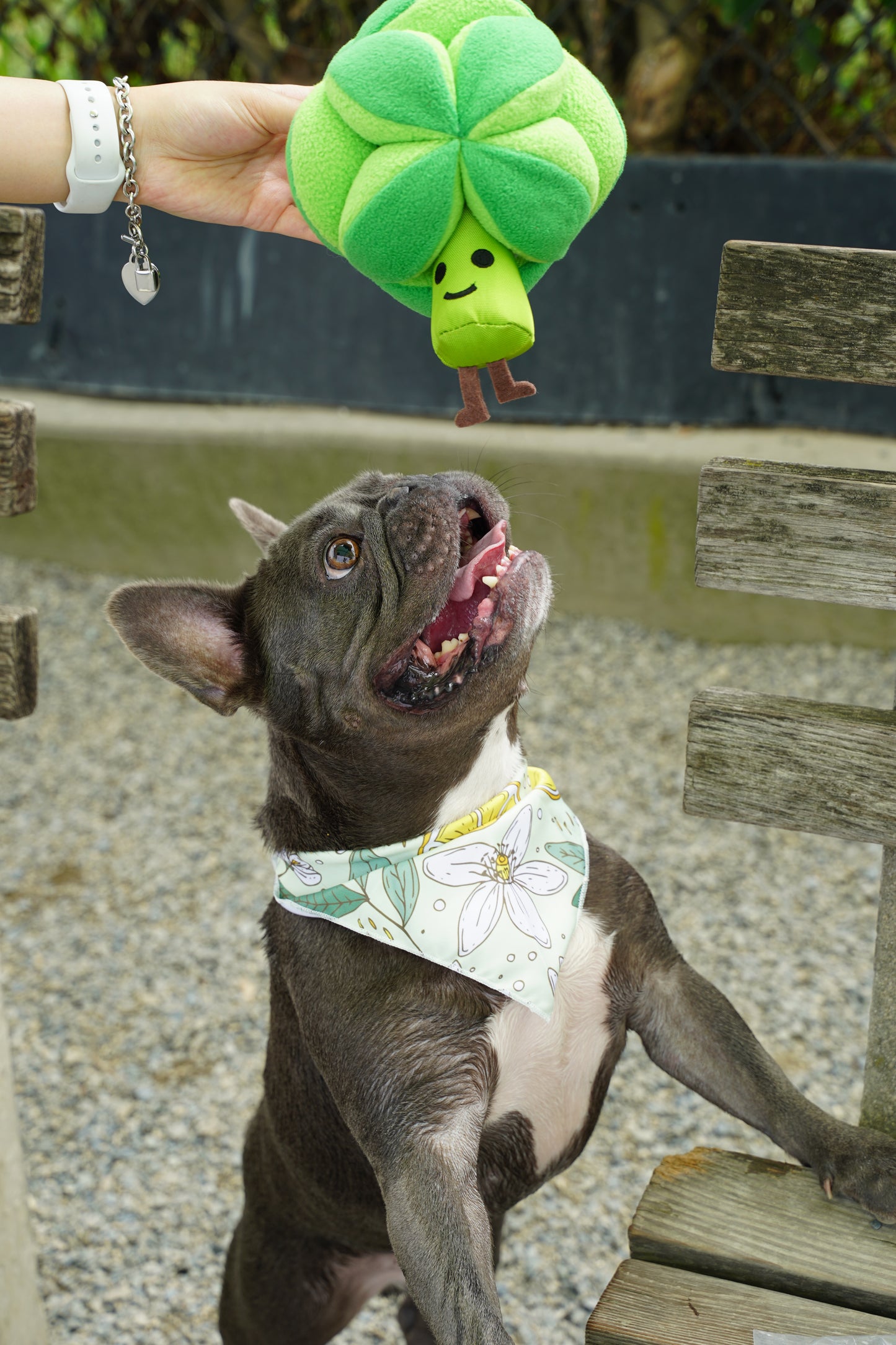 Broccoli Snuffle Ball Dog Toy
