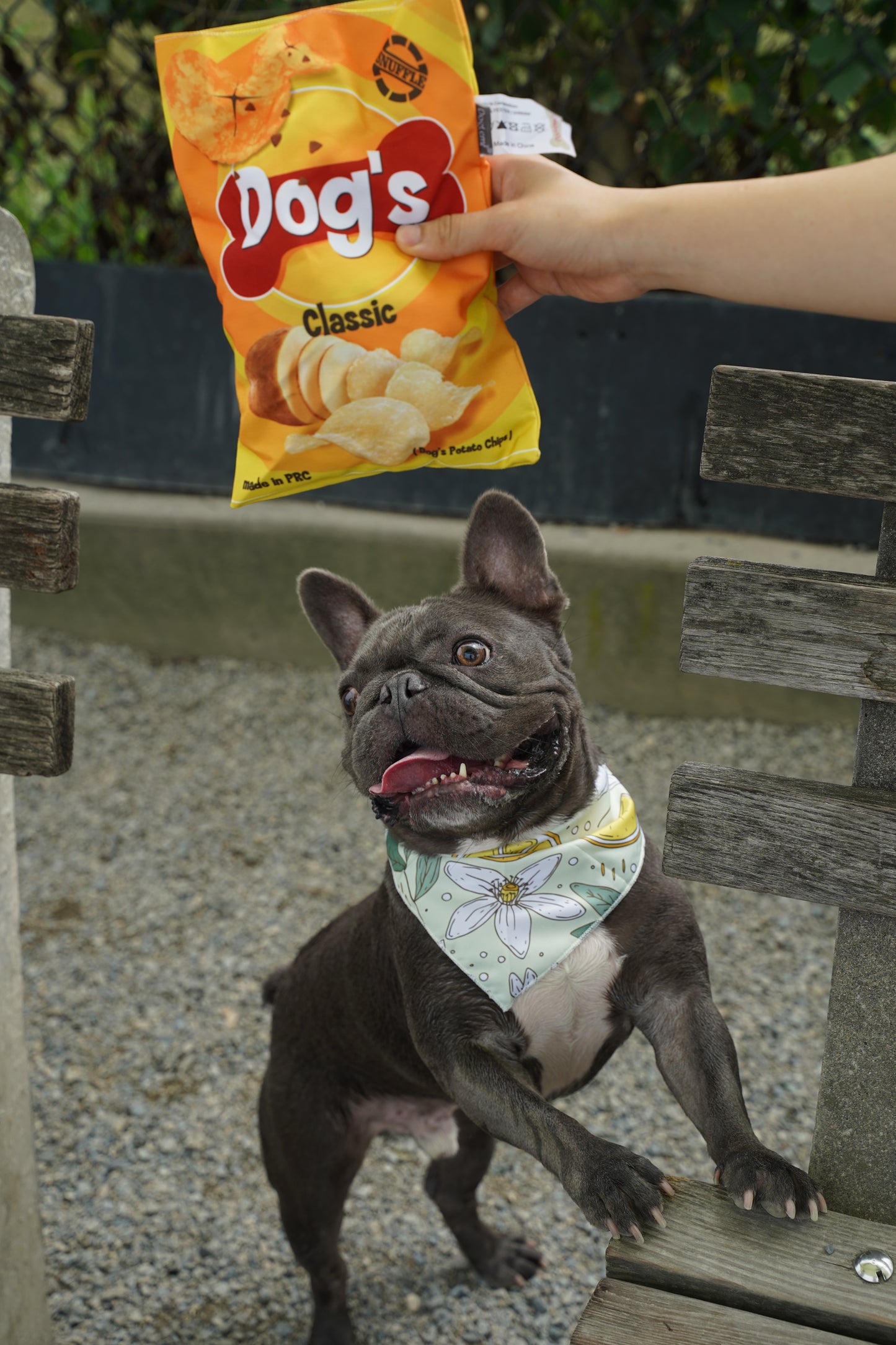 Chip Bag Snuffle Dogs Interactive Toy