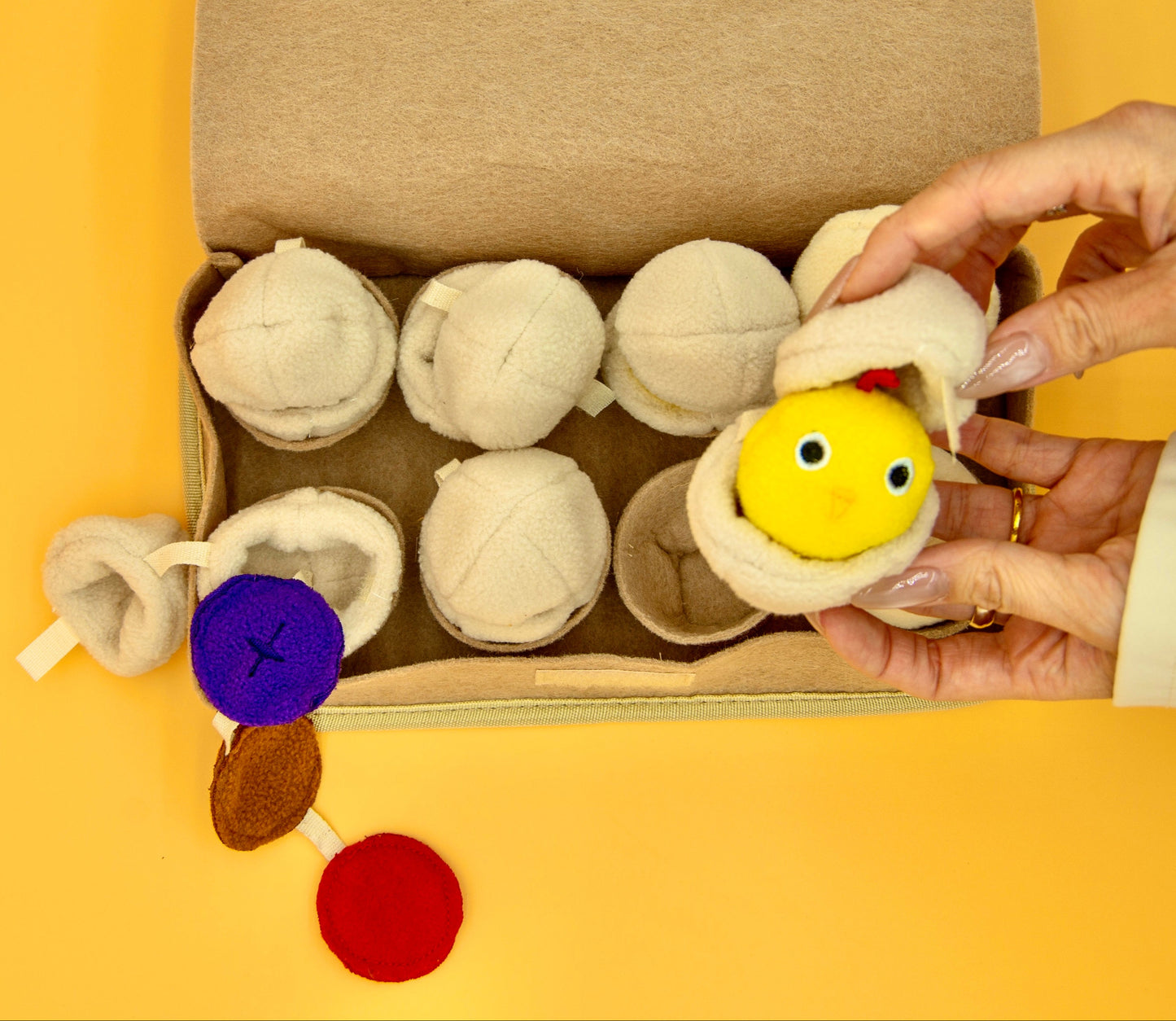 Egg Box Snuffle Dogs Interactive Toy
