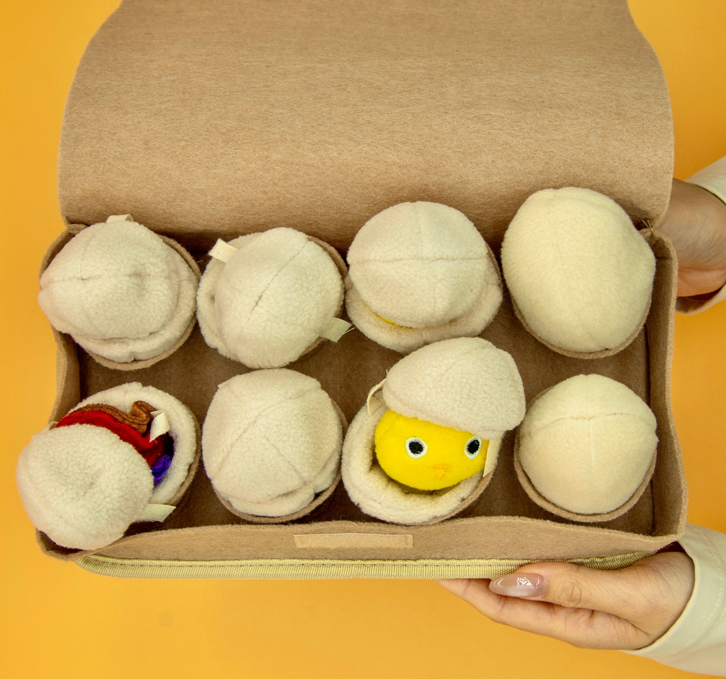 Egg Box Snuffle Dogs Interactive Toy