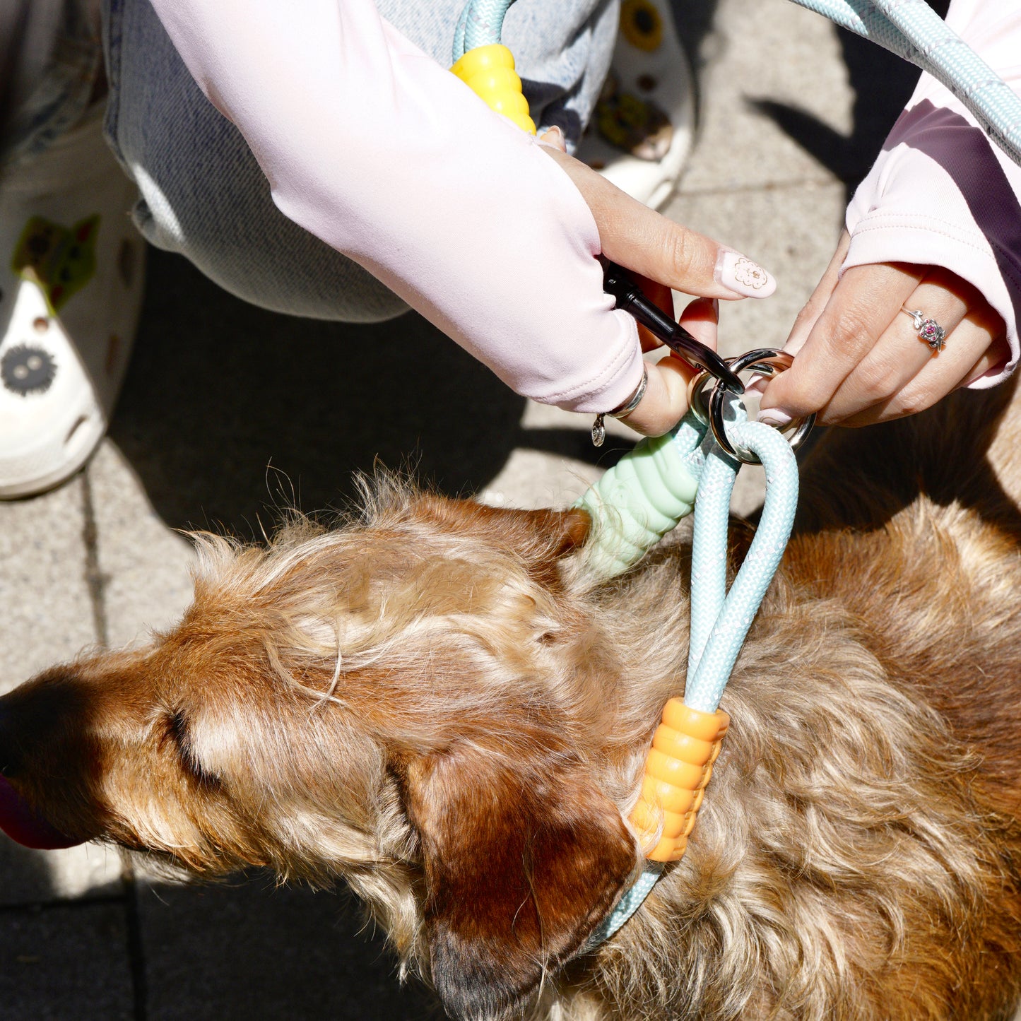 Heavy Duty Dog Leash with Comfort Padded Handle (Fresh Green)