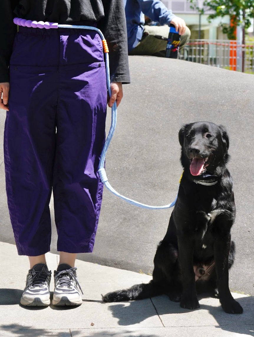 Heavy Duty Dog Leash with Comfort Padded Handle (Lake Blue)