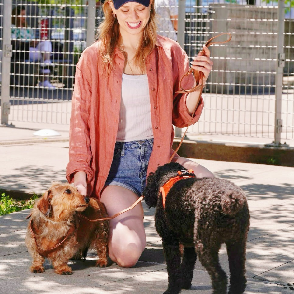 Small Dog PU Leather Harness & Leash Set (Fits Chest 26-50cm)(Little Teddy Brown)