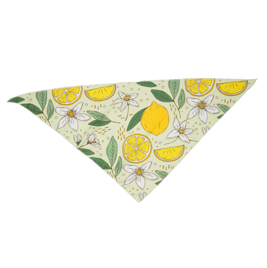 Fresh Fruit Dog Bandana(Lemon Flower)