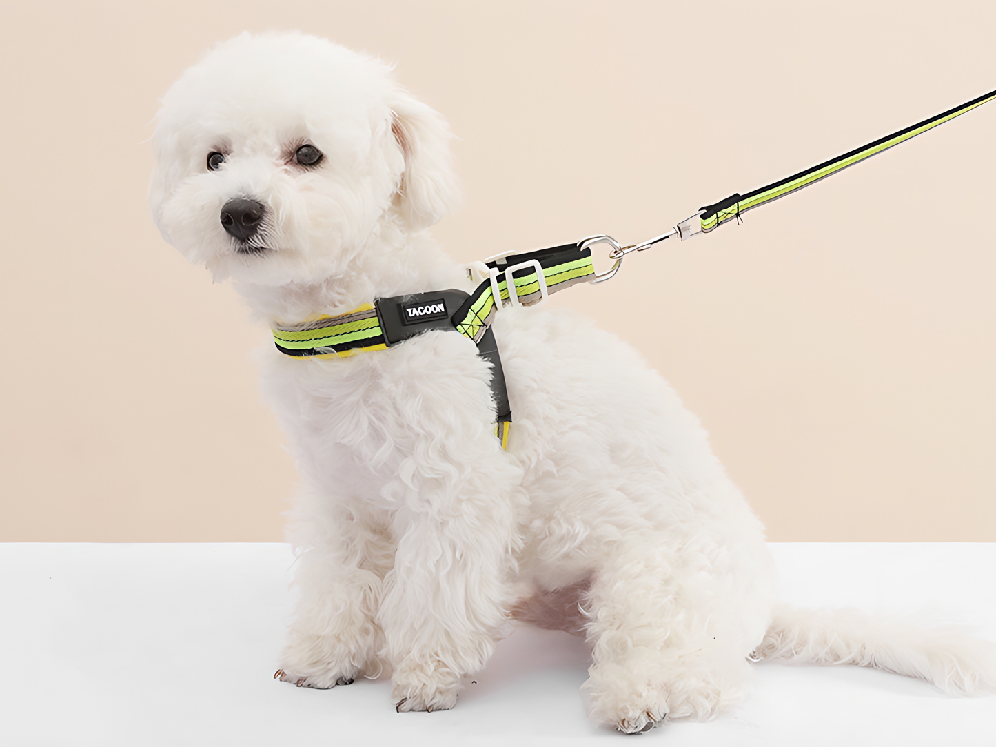 Rainbow V‑Harness with Mini Bag(Lime Green)