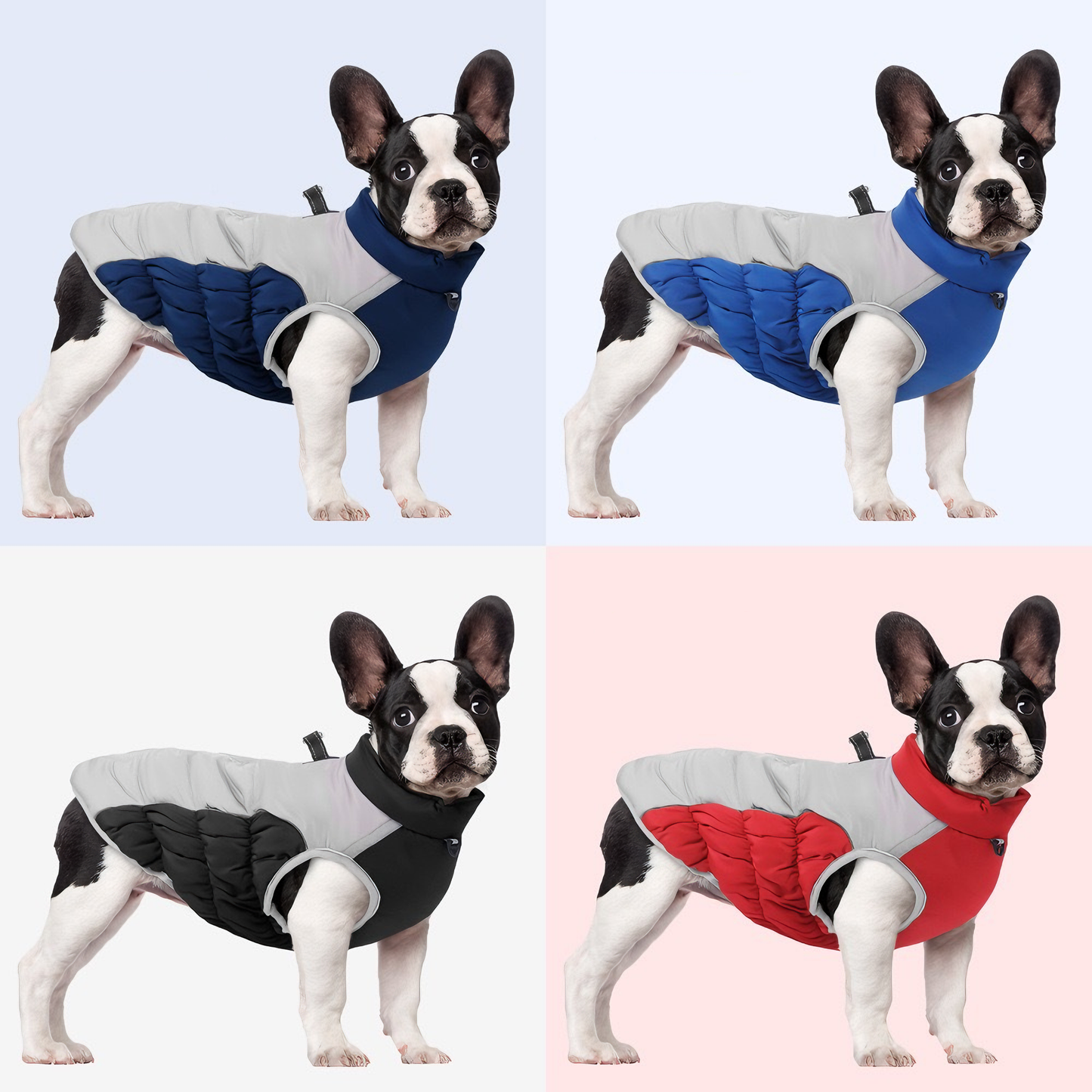 All-Weather Protective Dog Coat — Waterproof, Windproof & Reflective (Royal Blue)
