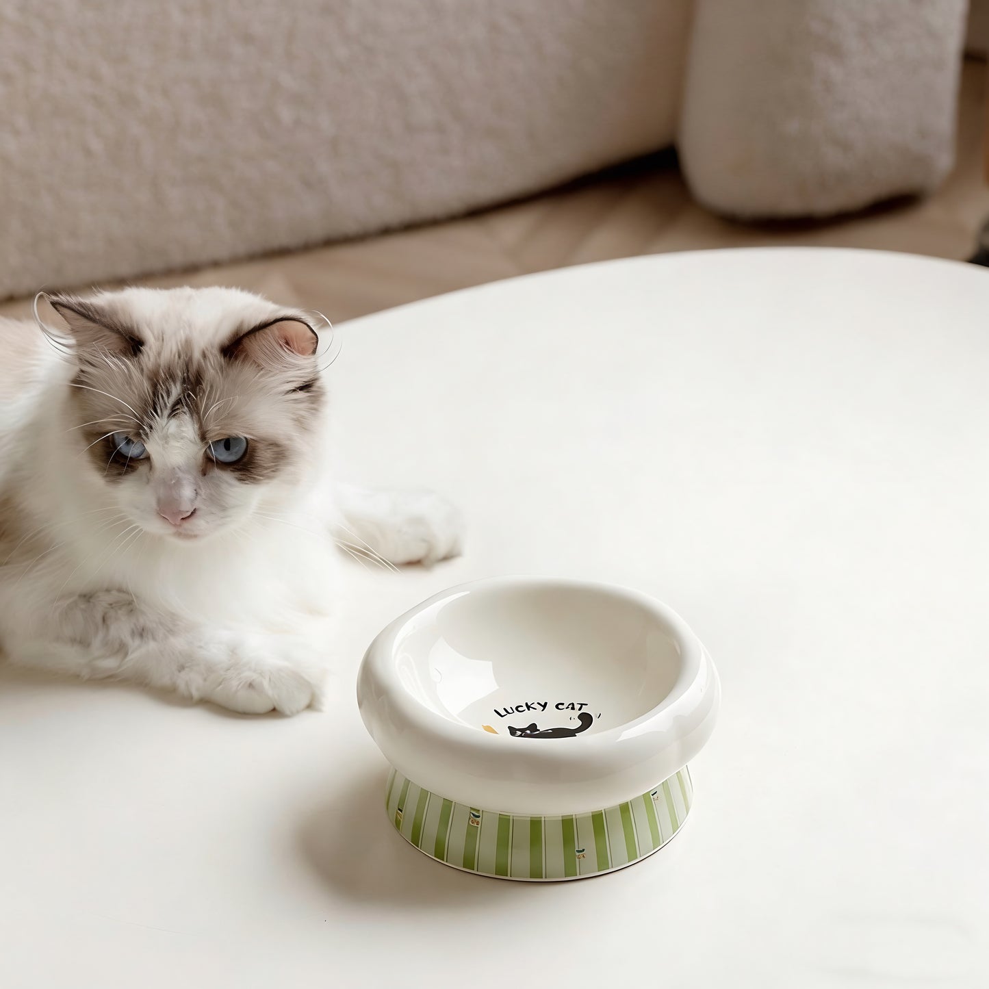 LuckyCat Petal Stripe Ceramic Pet Bowl