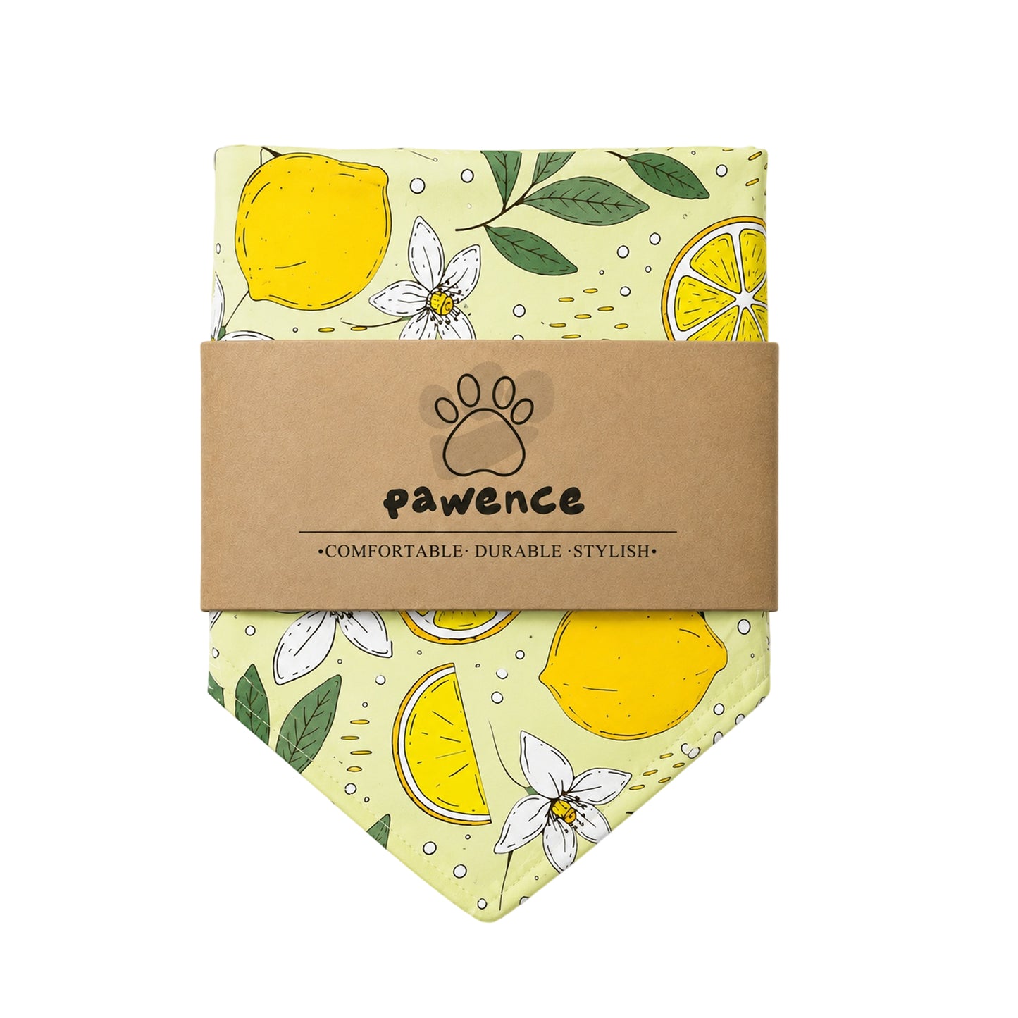 Matching Fruit Bandanas for Pets & Owners, Unisex Bandanas for Male & Female, Adjustable Summer Bandana