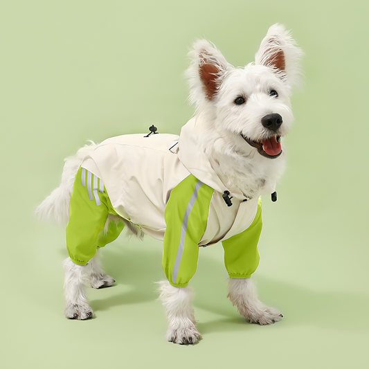 Waterproof Dog Raincoat(Forest Green)(6-10lb)