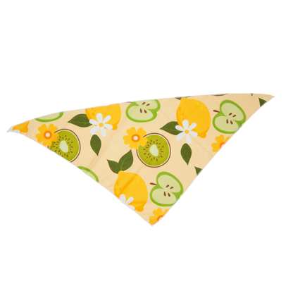 Fresh Fruit Dog Bandana(Kiwi)