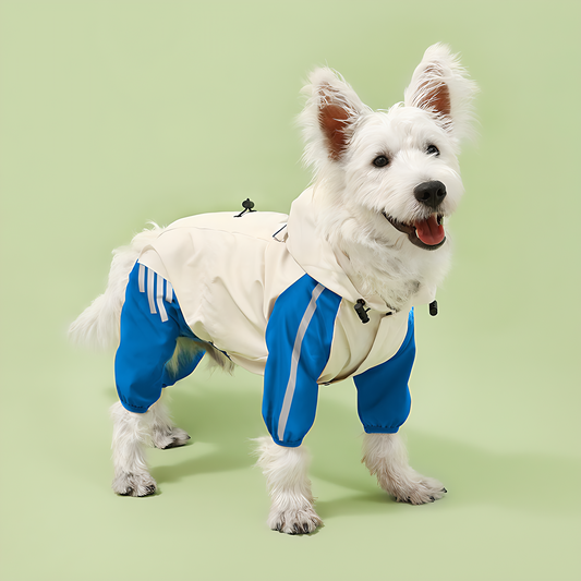 Waterproof Dog Raincoat(Sky Blue)(6-10lb)