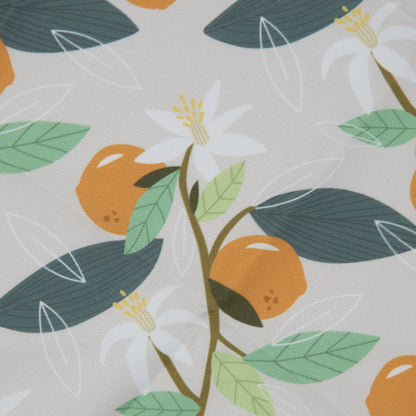Fresh Fruit Dog Bandana(Orange)