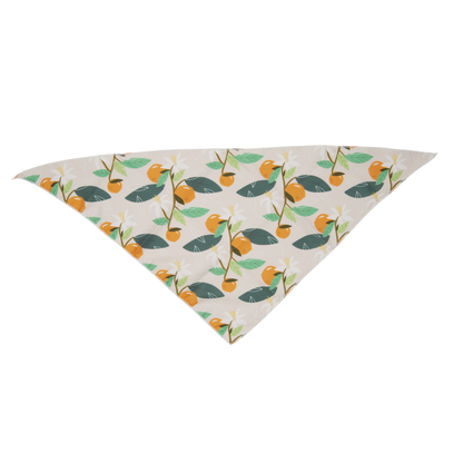 Fresh Fruit Dog Bandana(Orange)