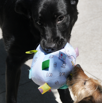 Blue Starry Bear Grab Tabs Ball Toy for Dogs