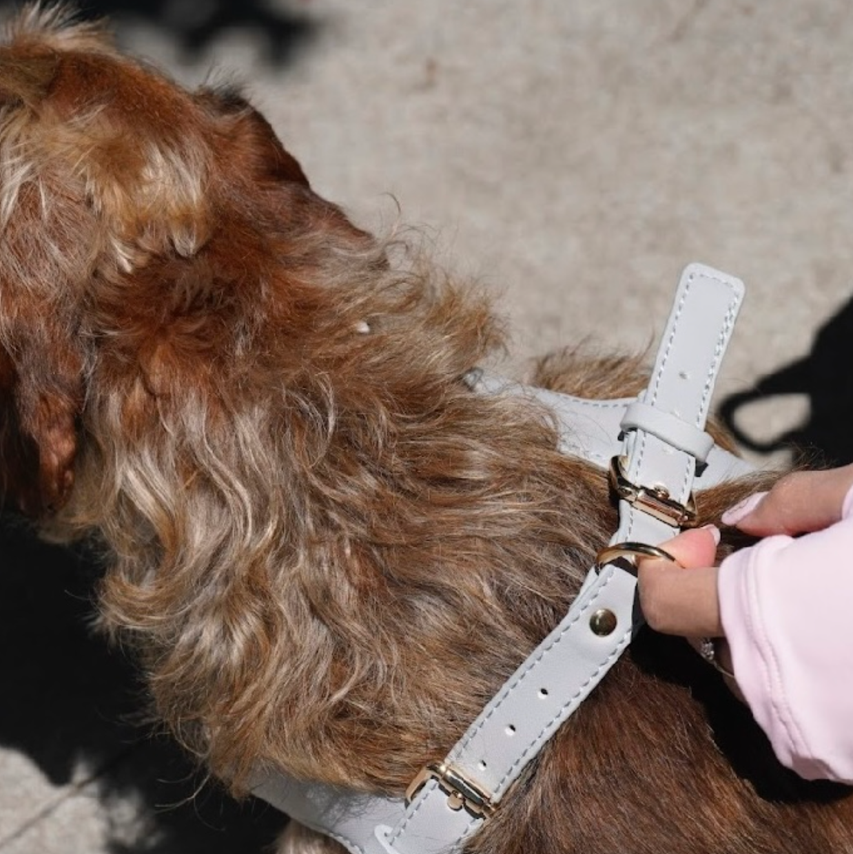 Small Dog PU Leather Harness & Leash Set (Fits Chest 26-50cm)(Moonlight Grey)