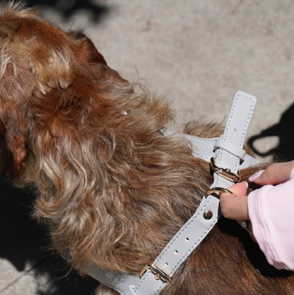 Small Dog PU Leather Harness & Leash Set (Fits Chest 26-50cm)(Moonlight Grey)