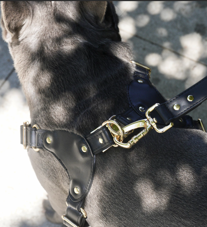Medium Dog PU Leather Harness & Leash Set (Fits Chest 37-62cm)(Twinkle Black)