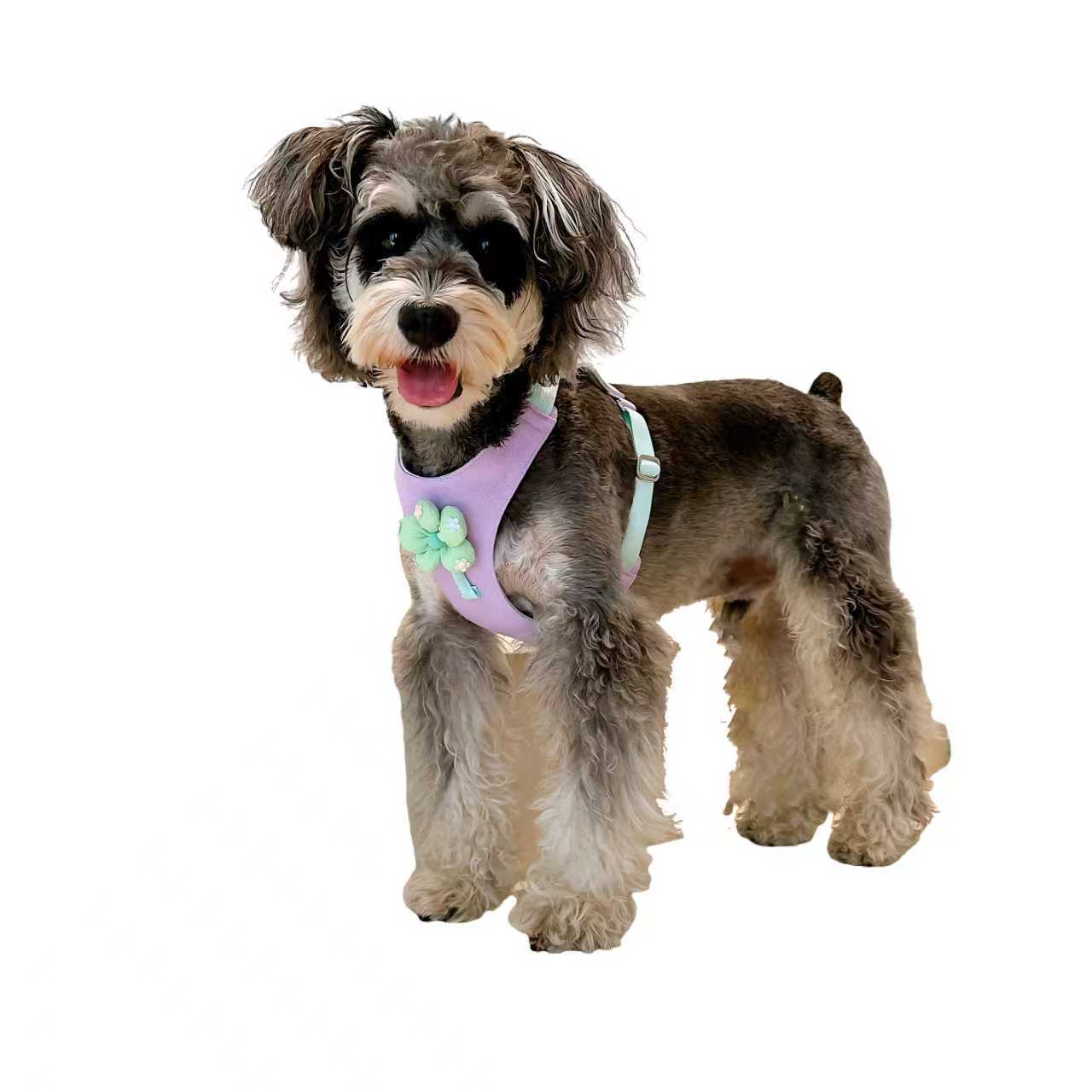 Dopamine Lightweight Dog Harness & Leash Set For Small & Medium dogs (Lavender)